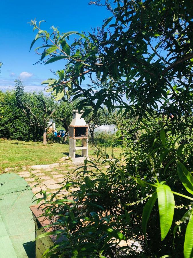 Camelia Casina Rural Villa Albuerne Kültér fotó